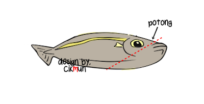 tutorial, siang ikan, mudah, cara, siang, ikan, doodle, 