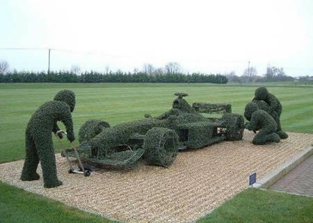 a96735_car-grass2