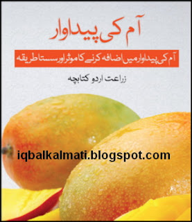 Mango cultivation and farming Aam Ki Kasht