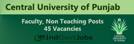 Central University of Punjab Jobs