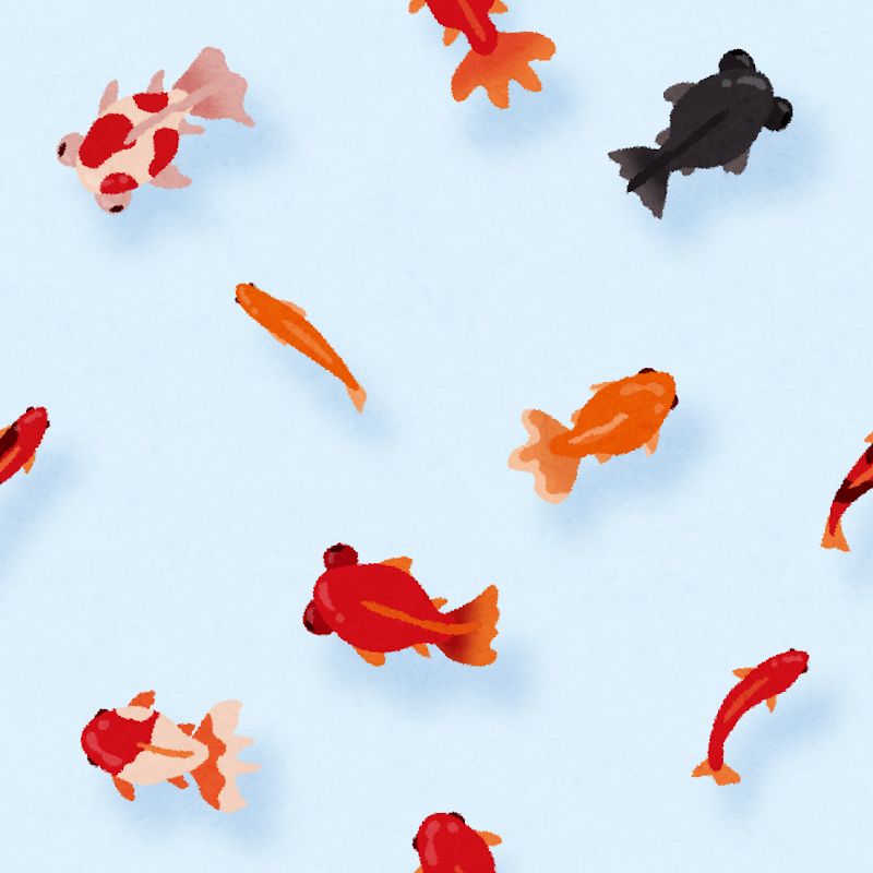 金魚のイラストのパターン かわいいフリー素材集 いらすとや 金魚のイラストのパターン かわいいフリー素材集 いらすとや