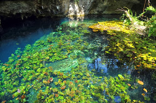 Delight to swim in the water paradise