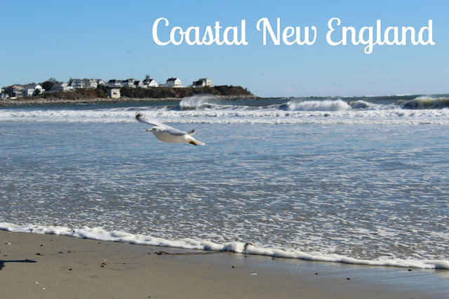 Exploring Coastal New England 