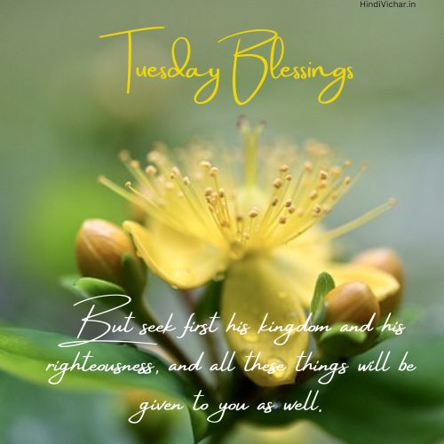 Happy Tuesday Positive Blessings