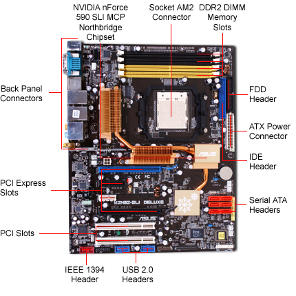 blue PCI Express slot near