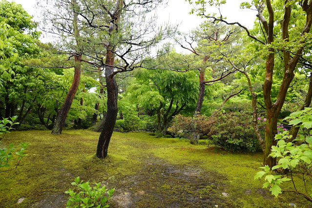 島根県松江市八束町波入 由志園