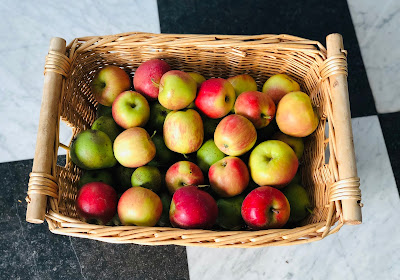 Dit zijn de appels die ik over had. Eronder liggen stoofperen. Deze troffen wij aan in de buurt van Rotterdam. 6 kilo voor 2 euro. Die heb ik meegenomen. Het heeft gelukkig geen haast om deze te verwerken. Stoofpeertjes blijven wel even goed, als je ze goed opslaat. Ik doe dat door ze te controleren en dan in de kelder weg te leggen.