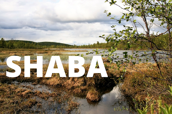 Definition of the phoneme SHABA: image of some Marshes in a Mountain Valley