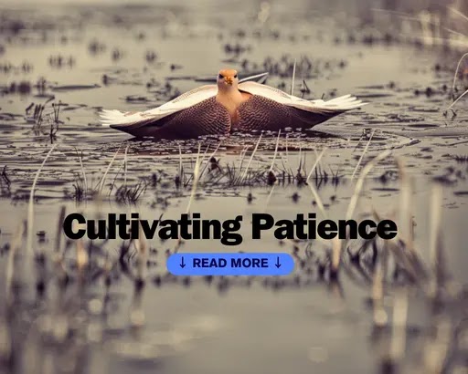 Cultiver la patience : un guide complet pour développer cette vertu essentielle
