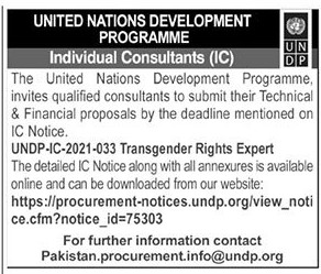 UN Careers - UN Vacancies - United Nations Jobs - United Nations Careers - UNDP Vacancies - UNDP Recruitment - UNDP Careers - Jobs UNDP - United Nations Development Programme Jobs