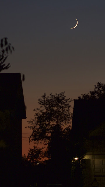 crescent moon at sunset