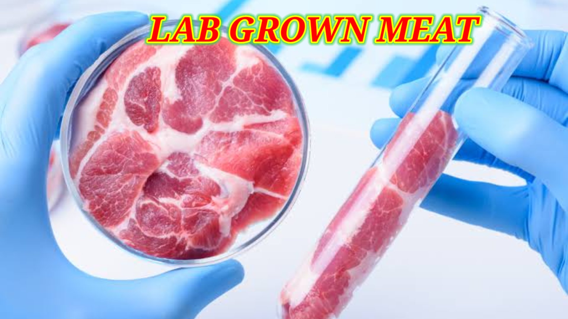 Lab-Grown Meat: A Revolutionary Breakthrough in Sustainable Food Production