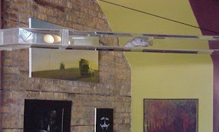 Very unusual and creative aquarium