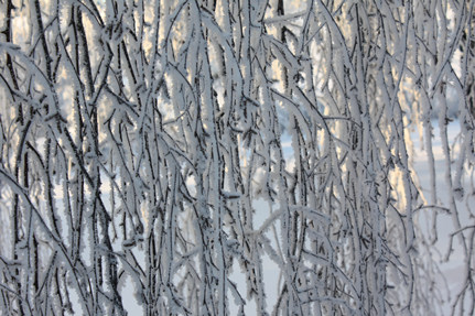 vinter9