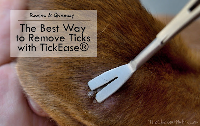 Review & Giveaway: The Best Way to Remove Ticks with TickEase®