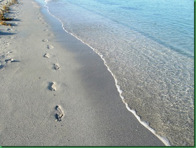Friday Nokomis Beach (54)