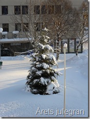 Januar 006