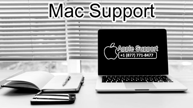 mac technical support phone number