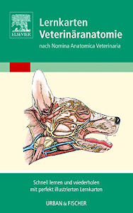 Lernkarten Veterinäranatomie/Veterinary Anatomy Flash Cards