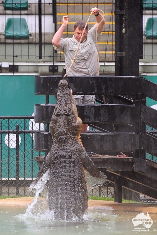 10 of the World's Most Famous Zoos - Australia Zoo, Sunshine Coast, Australia