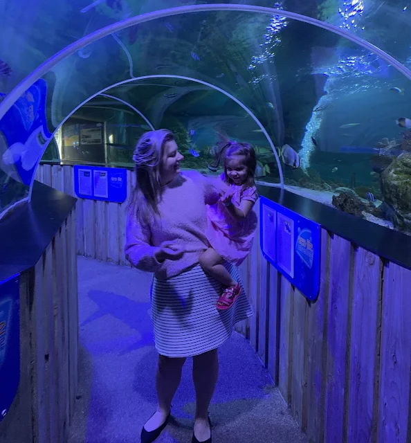 Walkthrough tunnel at Sealife Adventure aquarium in Southend