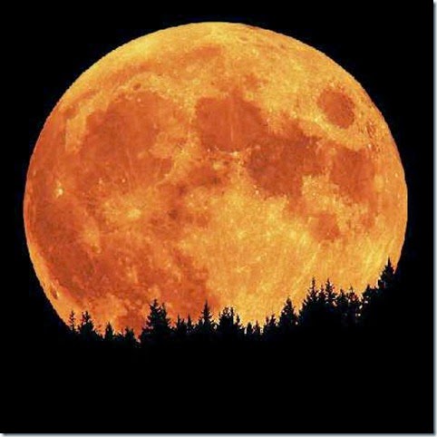 superluna imagen agosto 2014