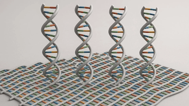 LOGRAN CONSTRUIR MATERIALES INTELIGENTES USANDO ADN SINTÉTICO