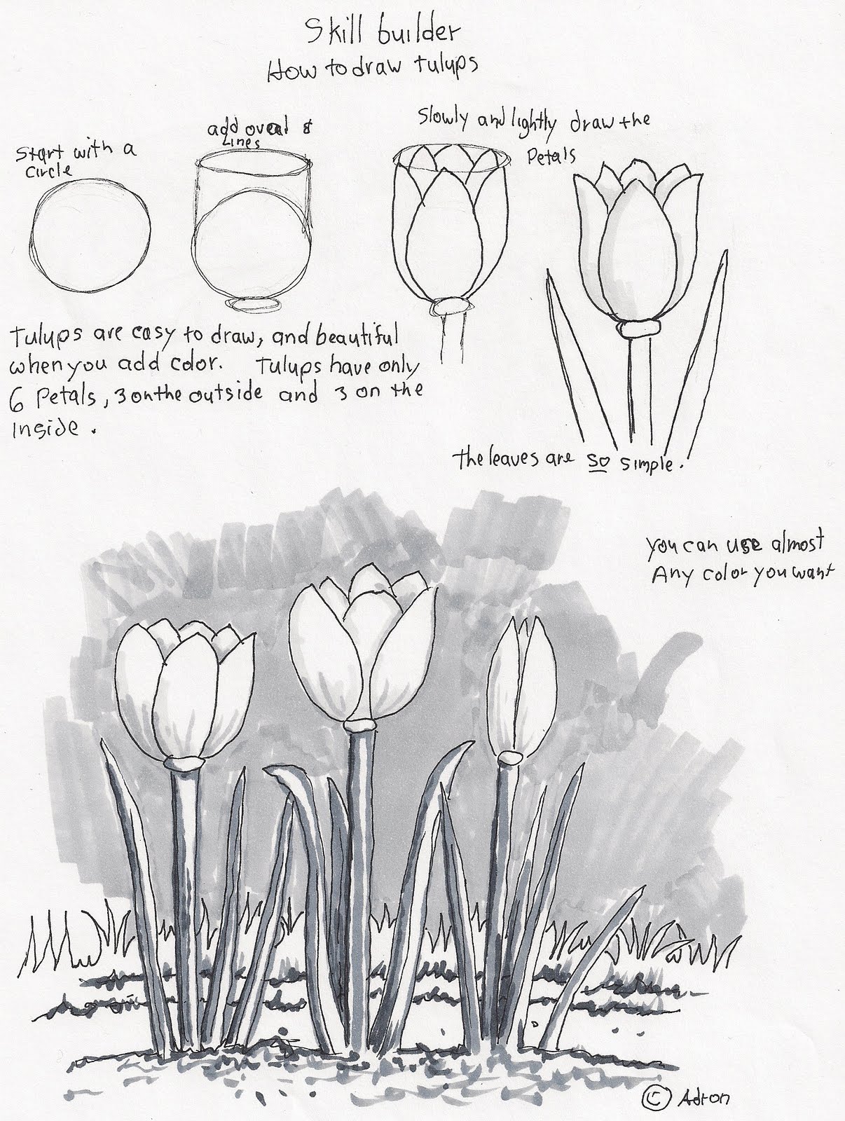 Download Adron's Art Lesson Plans: How to Draw Tulips, a Beginners ...