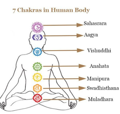 Chakras The Energy Reservoirs