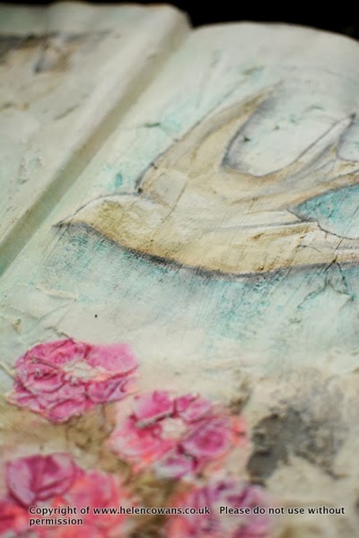 Swallows Helen Cowans 2