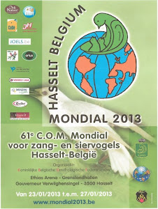 61ºCAMPEONATO  MUNDIAL DE ORNITOLOGIA EM HASSELT - BELGICA 2013