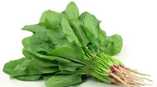 Spinach benefits for hair