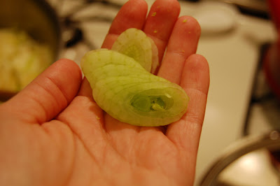 Slices of baby fennel