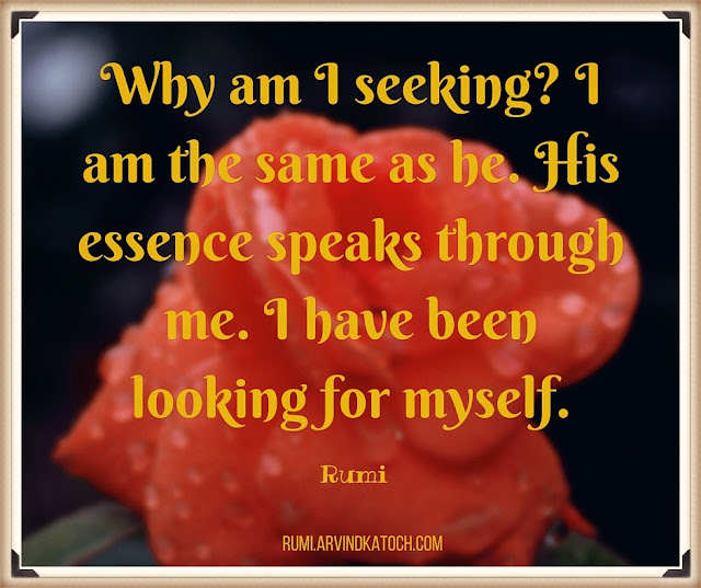 Rumi, Quote, Image, seeking, same, myself, essence, speak, god,