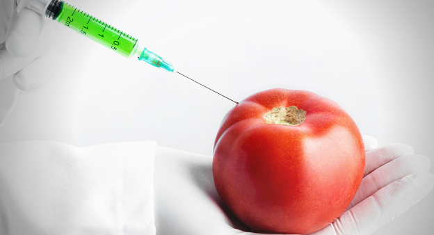 Vacinação por meio de alimentos: a ciência trabalha com essas "plantas de inoculação" há 30 anos
