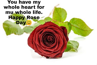 today is rose day