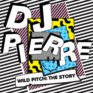 download MP3 DJ Pierre - Wild Pitch- The Story iTunes Plus aac m4a mp3