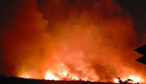 Lahan 10 Hektare Hangus Terbakar Akibat El-Nino di Desa Pasir Putih Kabupaten Poso