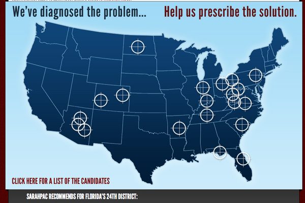 gun crosshairs sarah palin. quot;Sarah Palin has the