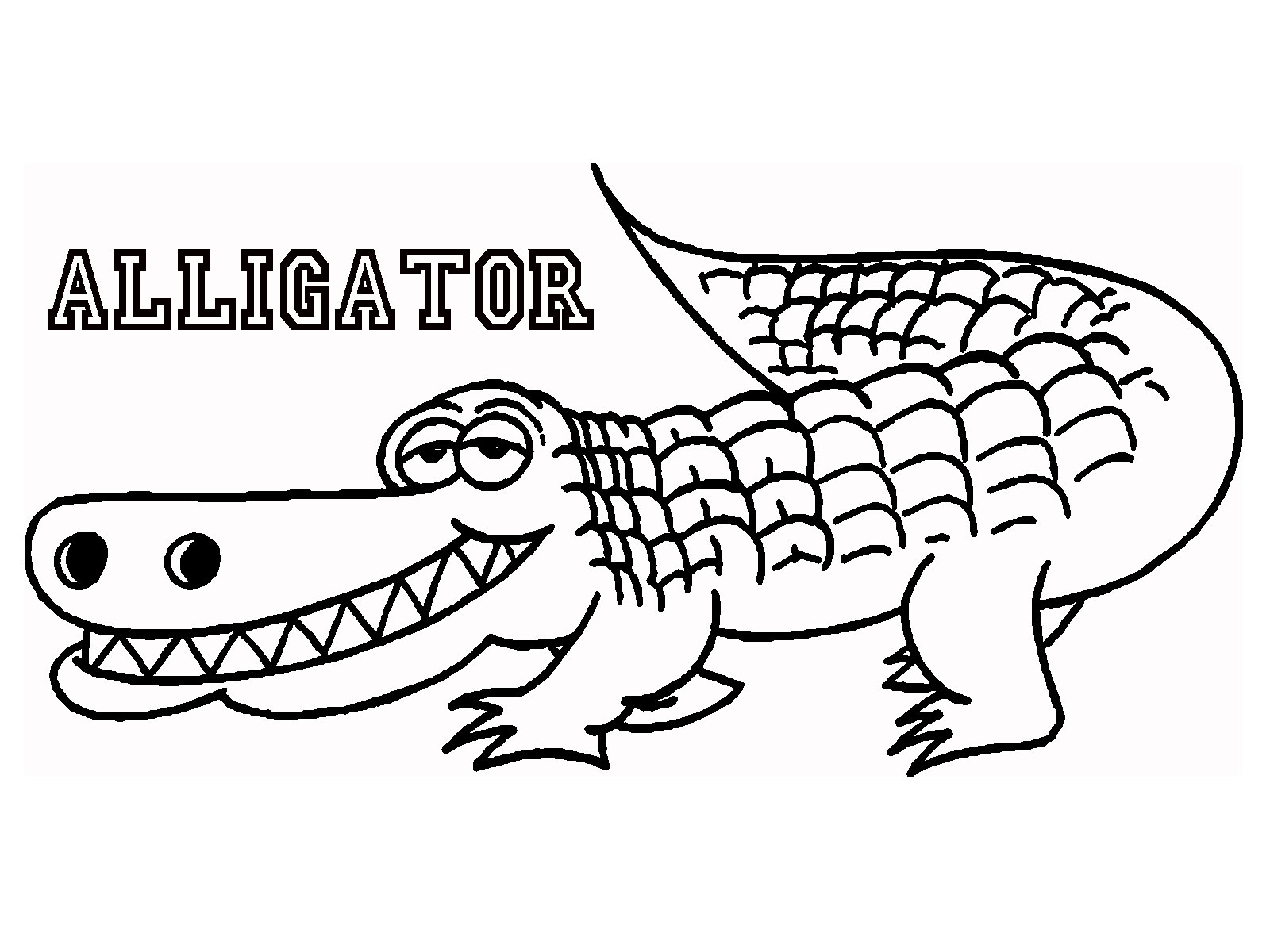 Alligator Coloring Pages Free Printable 1
