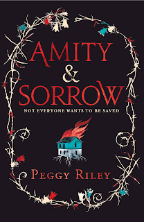 Book cover of Amity & Sorrow by Peggy Riley