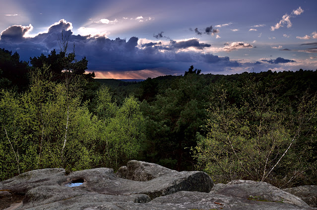 Gorges de Franchard, Fontainebleau