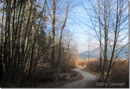 The trail