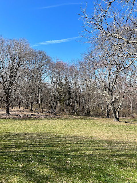 The former cannon field is now green with grass and bordered by trees at Monmouth Battlefield.