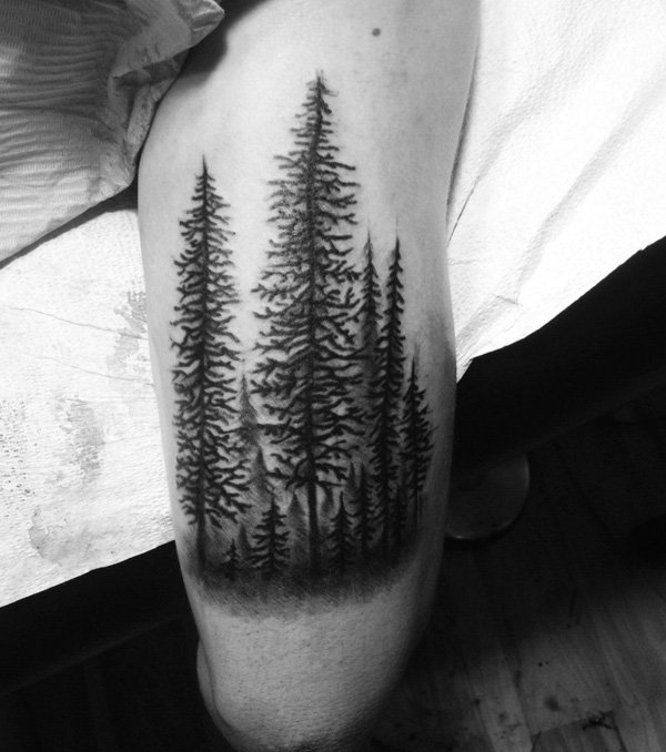 Evergreens continua forte, não importa o que eles tem que ir através de: chuva, neve ou sol. É uma sutil tatuagem mas tem uma mensagem poderosa.