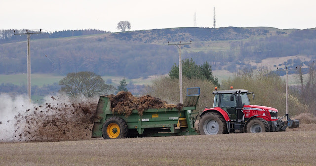 fertilizers for plants