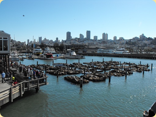 More of San Francisco 112
