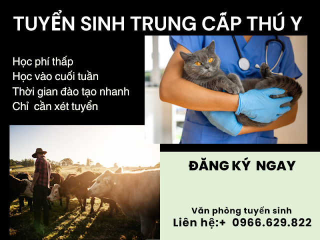 CƠ HỘI VIỆC LÀM KHI HỌC NGÀNH THÚ Y - TUYỂN SINH TẠI TP. CẦN THƠ