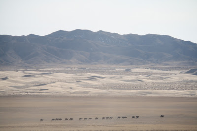 Resultado de imagen de desierto del gobi congelado
