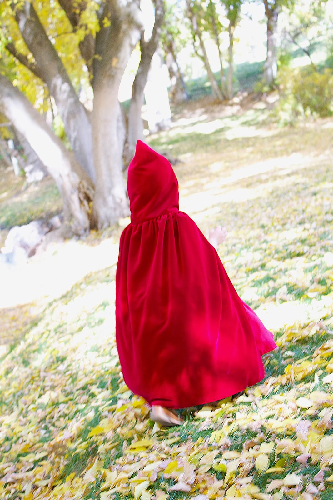 do it yourself divas: DIY: Little Red Riding Hood Costume/Cloak 2T-4T